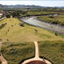 시흥 갯골생태공원 이미지