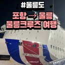 개인화물914 | 포항에서 울릉도 배편 예약, 울릉도 크루즈 여행 차량 선적부터 가격 후기 정보