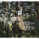 동대부속유치원 이미지