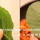 신의유통 이미지