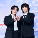 잔나비
