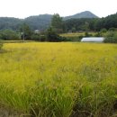 LBA토지공인중개사사무소 이미지