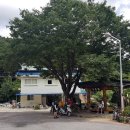 복장리 마을회관 이미지