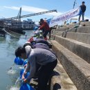 황금어장 이미지