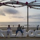 중앙솔밭캠핑장 이미지