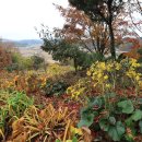 금수산 농원 이미지