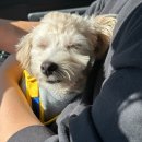 온누리펜션가든 | 태안 여행기