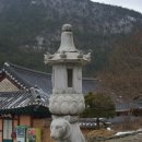 봉황건어물