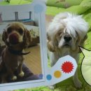 라라세탁소 이미지