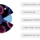 노보셀바이오