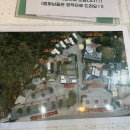 자작나무펜션 캠핑장 | 포천 카라반 추천 청계호수자작나무숲캠핑장 - 스파카라반 솔직후기