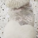 반자주 진해점 이미지