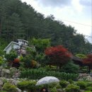 배나무골펜션 이미지