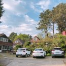 킹스통나무 이미지