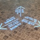 소노펠리체 델피노 이미지