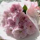 (주)엔소니 이미지