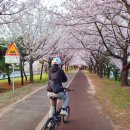 낙동제방 자전거도로 이미지