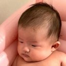 세모스쿠알렌 | [아기머리 각질 관리법]영아 두피 각질제거/아기피부 관리/아기두피 손질법/신생아 세모 스쿠알렌 사용후기