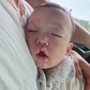 개좋은옷
