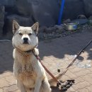 문개항아리펜션 이미지