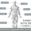 만성염증에 필수적인 이것 XXXX - &#39;퀘르세틴&#39; 이미지