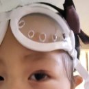 권오성 손국수 이미지