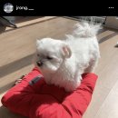 멈무