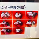꽃돼지촌 - 함안군 중앙북길 24 | 여행을 기다리는 주