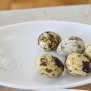 동성회센타 이미지