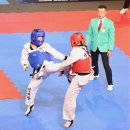 합기도 연비관 이미지