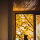 모아모아 이미지