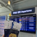 댕댕살롱 | Hello, osaka :-)