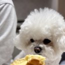 르베리 베이크샵