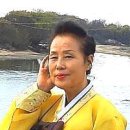 안동예술제 Daum카페