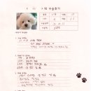 1033 | [#1033] 몽(우측 대퇴골두절제술)의 수술후기