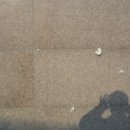 수성주유소 이미지