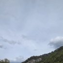덕우리카페 Daum카페