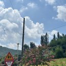 고려동 회관 이미지