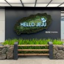 두근두근하우스 in 성산 이미지