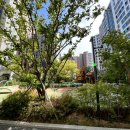 영진어린이공원 이미지