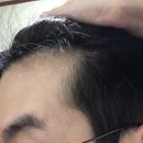 새튼튼약국 | 판시딜 가격