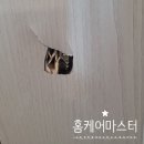 안산천동로1길 | 안산 문짝수리 깨진문 교체없이 보수 가능한곳
