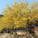 남도삼백리길(9코스) 이미지