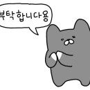 별해별감자탕 - 경산시 다문로 82 | 별해별감자탕