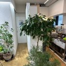 서초대로25길 43 | [서울 내방] 내방역 카페 맛집 림 카페 스콘 맛집 후기