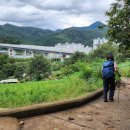 서부초등학교정문 이미지