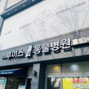 모던동물병원 이미지