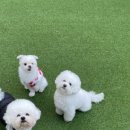 경기도 수원시 팔달구 효원로235번길 13 (인계동) 이미지