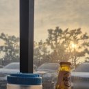 대천초등 | 몇년째 대천해수욕장 단골로 가는 왕건조개타운 내돈내먹 간단후기