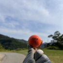 디온스크린 흥덕점 이미지